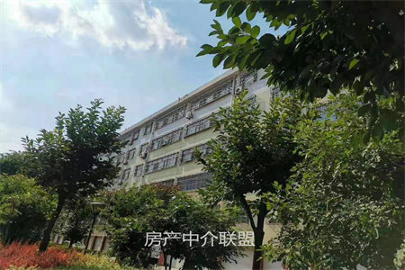 出售泰安兴隆家园3室2厅1卫92平简单装修
